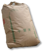 ¿���ƥ����ҥ���